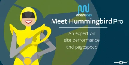 WPMU DEV Hummingbird Pro