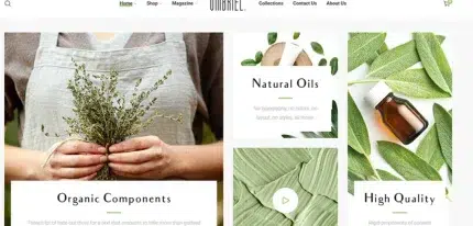 Screenshot-2024-12-30-at-13-57-15-Umbriel-WordPress-theme-430x206-1.webp Umbriel Theme – eCommerce theme for organic cosmetics and perfumes - Image 1