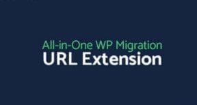 All-in-One WP Migration URL Extension