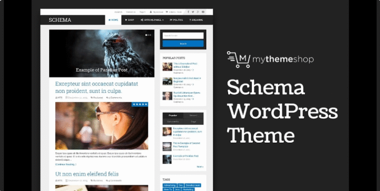 MyThemeShop Schema WordPress Theme