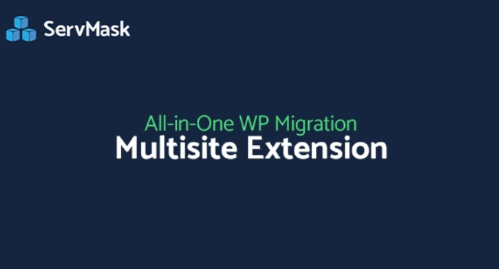 All-in-One WP Migration Multisite Extension